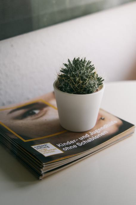 Pfegefamilien Kleiner Topf mit einem Kaktus steht auf einem Stapel Outback-Broschüren